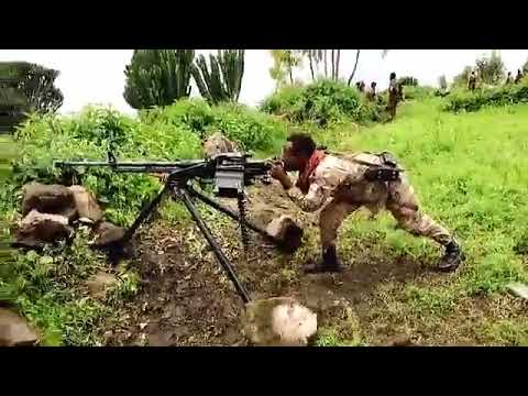 ለትቂት አመለጠ ፋኖ መብረቁ ለበለበው እንደ እሳት Amhara Fano