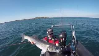 Pêche au Bar - Vendée - Juillet 2016 - HD