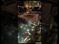Untitled video