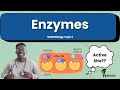 Enzymes A-Level Biology (SNAB, AQA OCR)