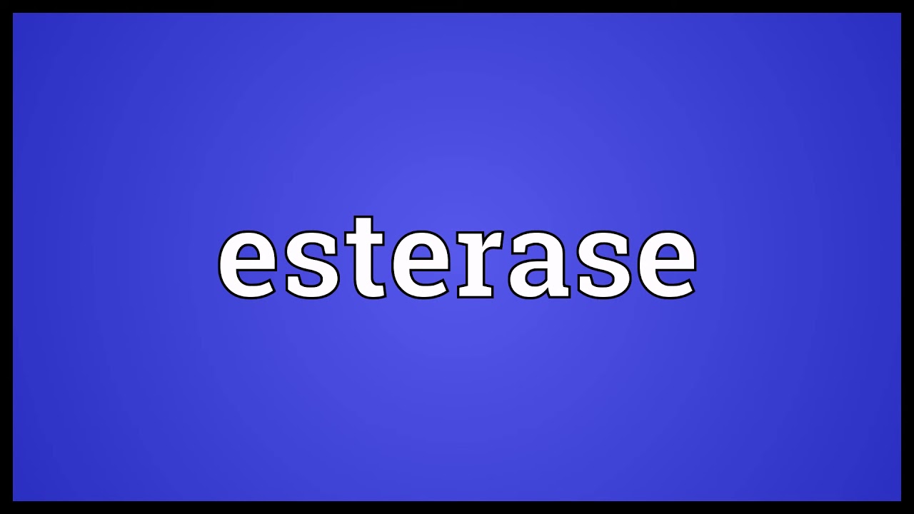 Esterase Meaning