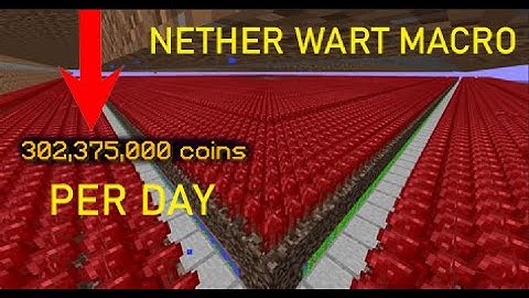 This Hypixel Skyblock Nether Wart Macro Makes 300+ MILLION A DAY