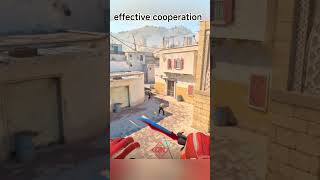 #cs2 effective cooperation