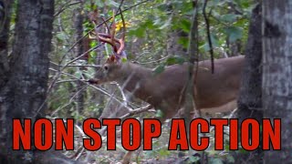 Kill Shot Compilation! Bowhunting Whitetail Deer! Self-Filmed!