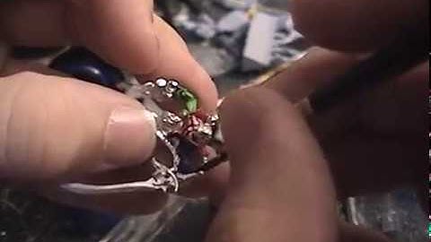 Painting Harlequin 3