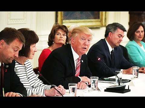 Meeting Gets Awkward When Trump Knows NOTHING About Trumpcare