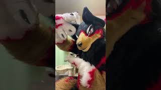 【獣化/fursuit#94】水曜のもふもふタイム🐾【ジュージュー】#獣化 #fursuit #shorts #Furtuber #雑談配信