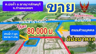 EP29 ที่นา ผสมโคก มีสระน้ำ 1 ลูกมีบ่อบาดาล 1 บ่อ 23 ไร่ 3 งาน 25 ตรว.ไร่ละ 80,000 บ.