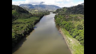 @wildworld_ How Wide is the Amazon River at Its Widest Point?