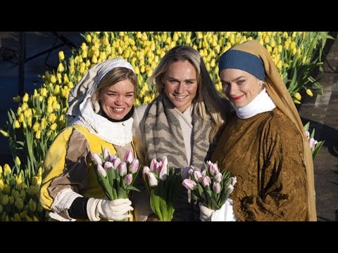 Нидерланды Отмечают Национальный День Тюльпанов