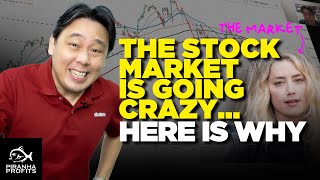 The Stock Market Is Going Crazy Here Is Why