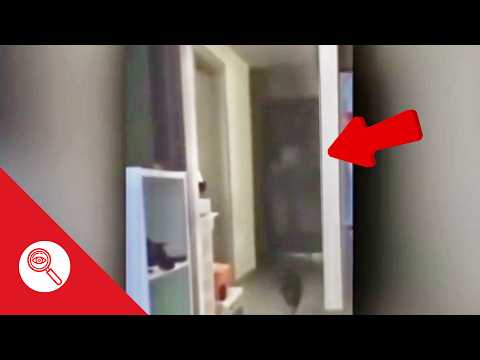 QUALCOSA TI STA FISSANDO, 5 VIDEO PARANORMALI DAVVERO SPAVENTOSI