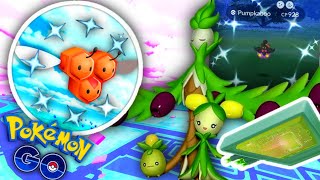 Harvest Festival 3 NEW PKMN & *VERY RARE SHINY* in Pokemon GO