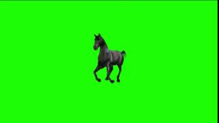 green screen horse