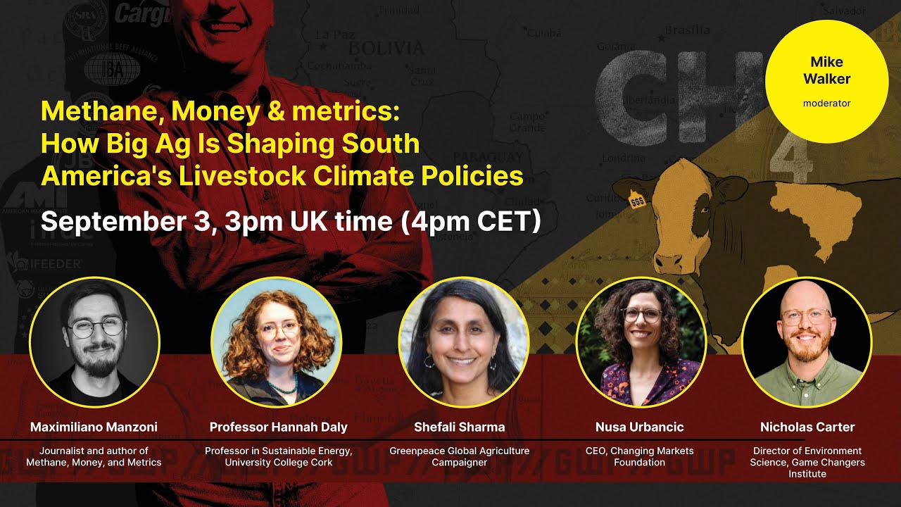 Methane, Money & Metrics: How Big Ag is shaping South America's livestock policies