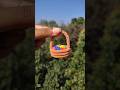 How To Make Flowers Busket Very Easily With Clay Yoitubeshorts Viralshorts Diycrafts mp3