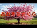 おおきなさくら ー  なかむらとしあき