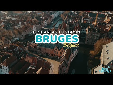 Reproductor de vídeo de YouTube
