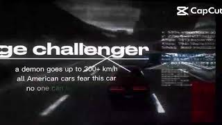 IMG 0010