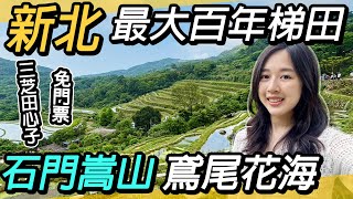 新北最大百年梯田～石門嵩山｜鳶尾花盛開｜三芝田心子~夢幻的水中央小島｜北部田間小徑一日遊