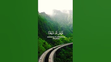 وَمَن يَعْشُ عَن ذِكْرِ الرَّحْمَٰنِ نُقَيِّضْ لَهُ شَيْطَانًا فَهُوَ لَهُ قَرِينٌ سورة الزخرف