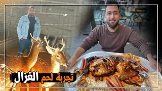 تجربة لحم الغزال في بغداد