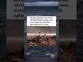 mỗi 5/8 hàng năm chú robot tự hát Happy Birthday cho mình😔 #memes