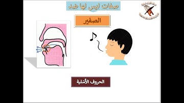 تعلم قراءة القرآن وقواعد التجويد - صفات الحروف - صفة الصفير