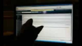 cat vs mouse cursor