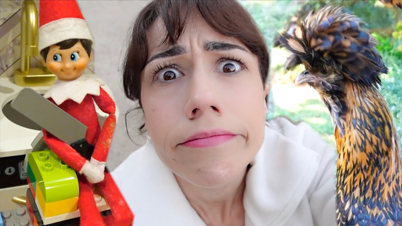 Chicken Drama, Elf On The Shelf Magic, & My Advent Calender!