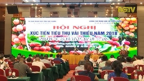 Xúc tiến tiêu thụ vải thiều tại Trung Quốc