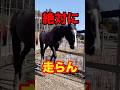 絶対に走らない馬
