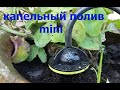 Капельный полив. Шикарная миниполивалка!