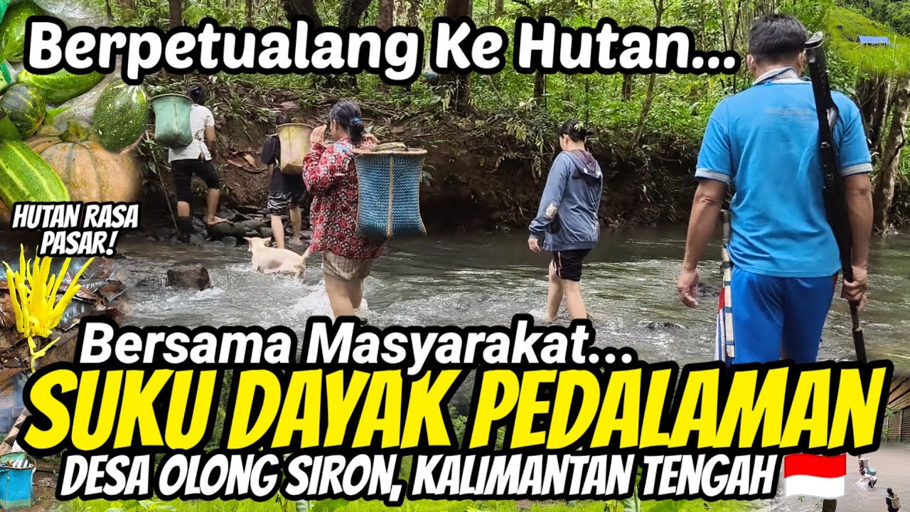 HUTAN RASA PASAR! KESEHARIANKU BERSAMA MASYARAKAT SUKU DAYAK; PANEN SAYUR MELIMPAH DI HUTAN