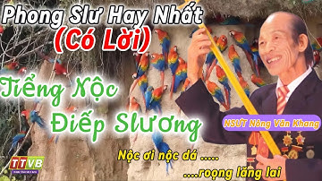 Phong Slư | Tiểng nộc điếp slương – Nông Văn Khang & Vương Điện | Có Lời Chuẩn | Then Tính Việt Bắc