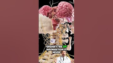 Your Brain is More Powerful Than Supercomputers