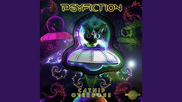 Catnip Overdose
