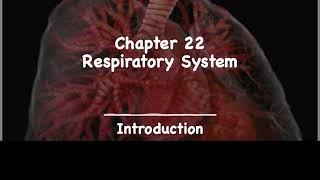 BIOS 254 CH 22 Respiratory   Introduction