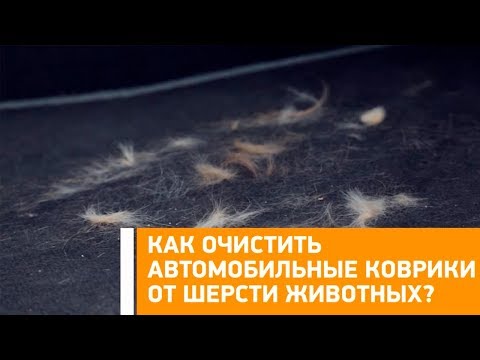 #Лайфхак: как очистить автомобильные коврики от шерсти животных? Минтранс.