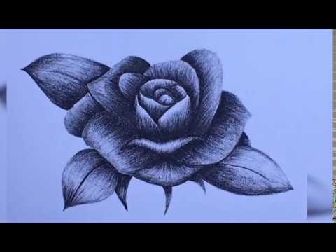 How to draw a Flower with Charcoal Step by Step for beginners by Noors Art