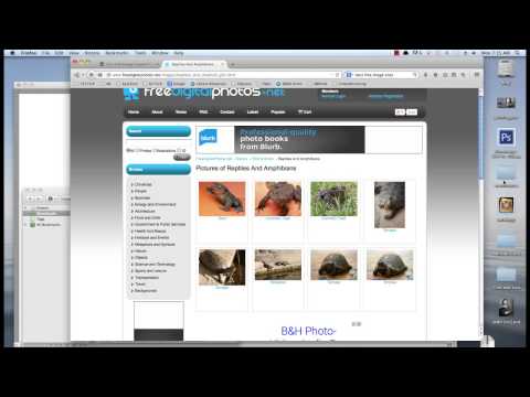 Indesign templates
