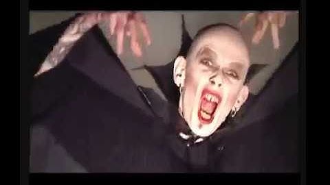 Backstreet Girls  - Boogie My Life Away (Official Music Video)