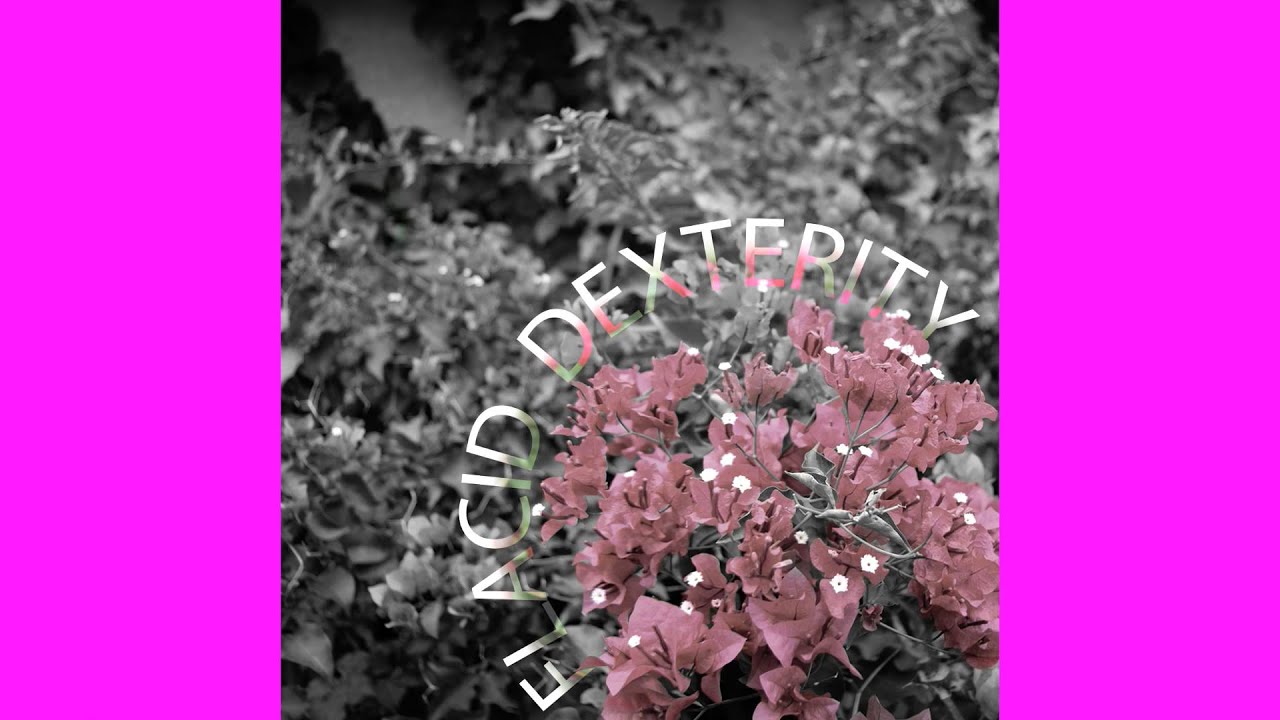 Flacid Dexterity - Broken Thoughts