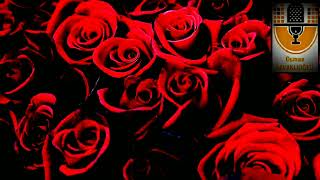 Gülü İnci̇tme Gönül Şair: Bestami Yazgan Yorum: Osman Kavaklioğlu