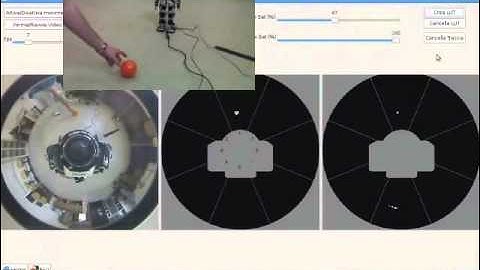 Omnidirectional vision on a humanoid robot