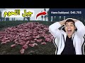 محاكي المزارع 11 قتلت 50 خنزير وبعت لحمهم وحصلت اكبر مبلغ في اللعبة Ranch Simulator