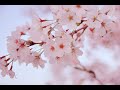 童謡     春が来た  日の丸の旗