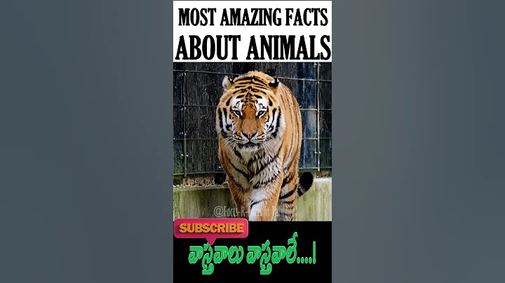 Mind Blowing Animal Facts 🤯🧠 Amazing Facts | Interesting Facts | Top 5 #factsrfacts #shorts
