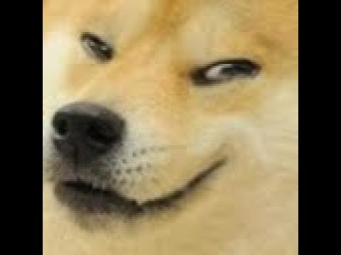 [Doge] S14 Ep. 74 DogeCoin Swing Traders & Mercy/Ana POV #DogeCoin # ...