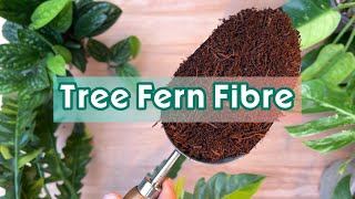 TREE FERN FIBRE - game changer or overhyped? screenshot 5